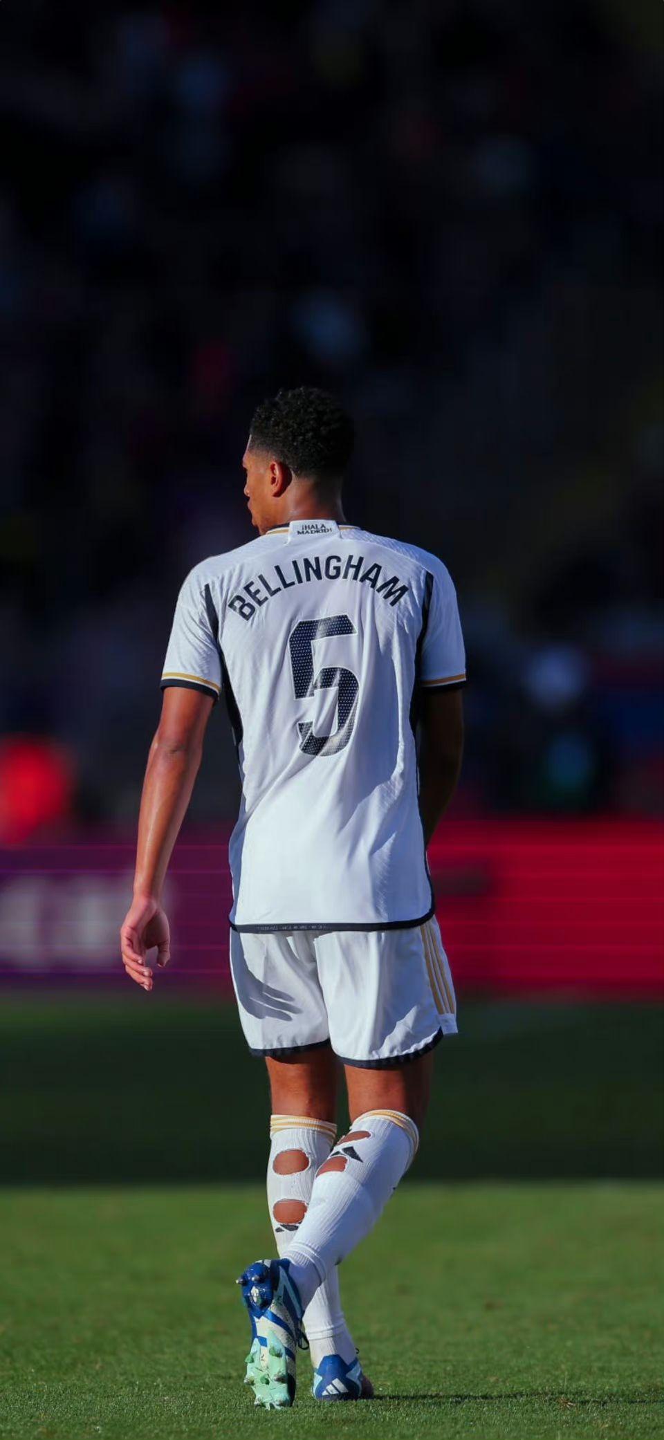 野放计划户外运动节亮相北京世园公园